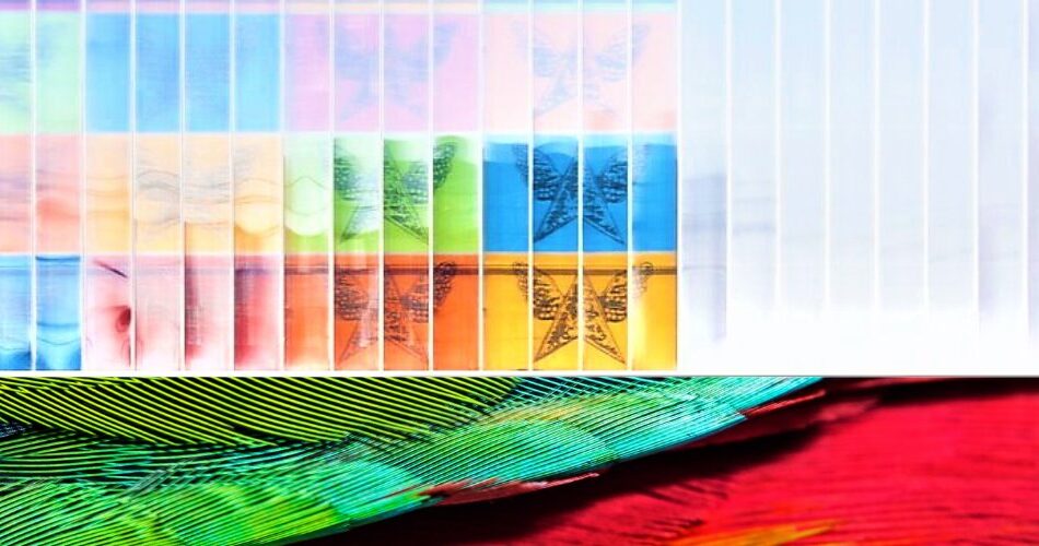 System Glazing Finishes