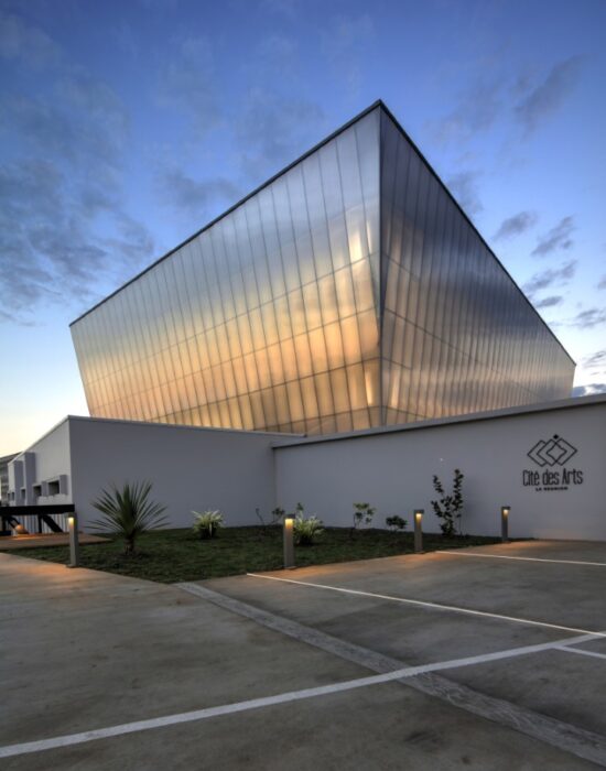 Citi De Arts (Large)