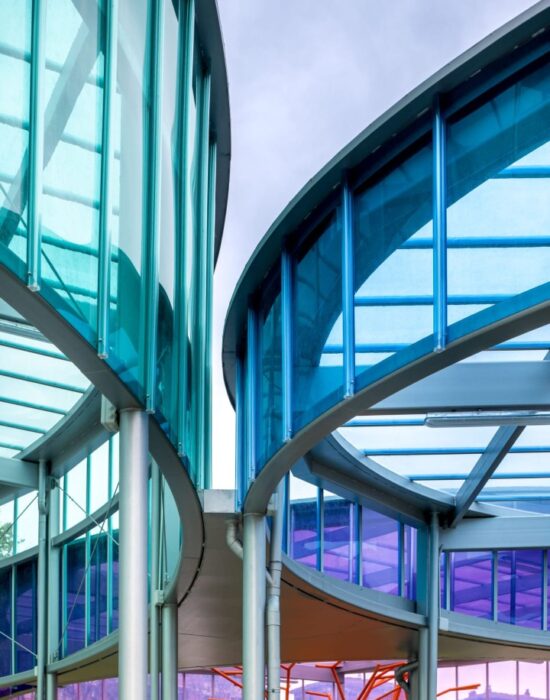 Canopy Image 3 (Large)