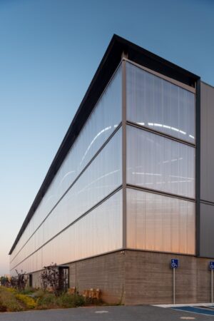 YP Vertical 01 (Large)